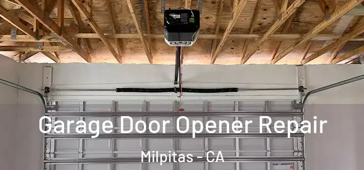  Garage Door Opener Repair Milpitas - CA