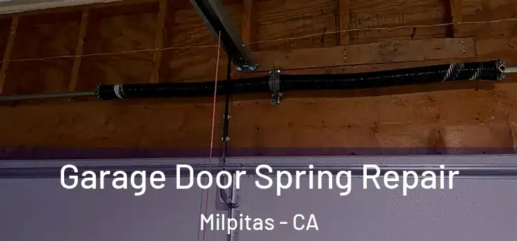  Garage Door Spring Repair Milpitas - CA