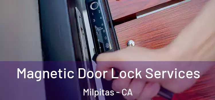 Magnetic Door Lock Services Milpitas - CA