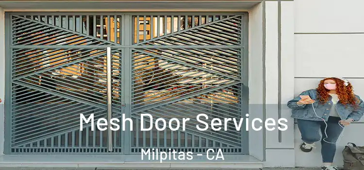 Mesh Door Services Milpitas - CA